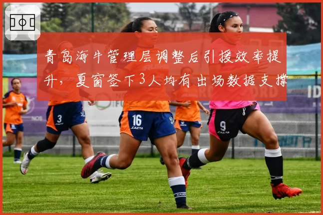 青岛海牛管理层调整后引援效率提升,夏窗签下3人均有出场数据支撑